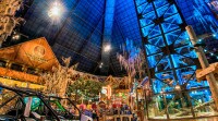 Big Cypress Lodge