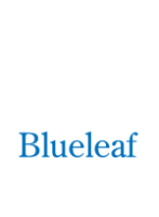 Blueleaf lending
