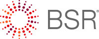 Bsr (business for social responsibility)