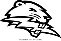 Beavers
