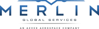 Merlin global services