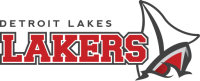 Detroit lakes school district