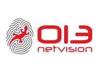 Netvision