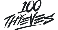 100 thieves