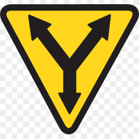 Yellow cab  coop