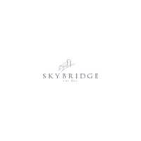 Skybridge capital