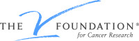 The v foundation