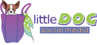 Little dog social media