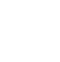 Metro services group
