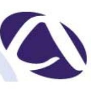 Advantage 2000 consultants