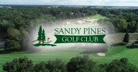 Sandy pines