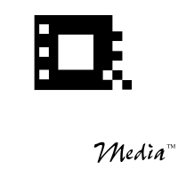 Lexar media