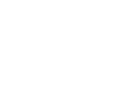 The virginia home