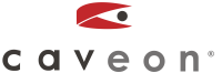 Caveon test security
