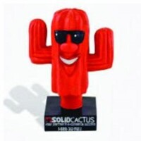 Solid cactus web.com, inc.