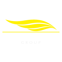 Falcon americas finance