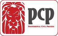 Professional civil process