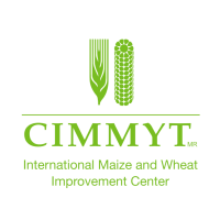 International maize and wheat improvement center (cimmyt)
