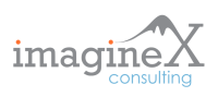 Imaginex consulting