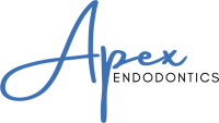 Apex endodontics