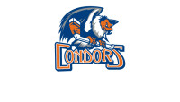 Bakersfield condors