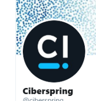 Ciberspring international