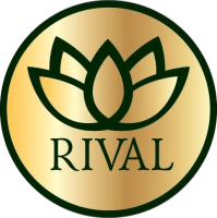 The rival, llc
