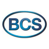 Bcs group
