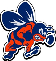 Bridgman public schools