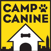 Camp canine