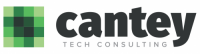 Cantey tech consulting