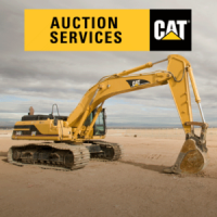 Cat auction services