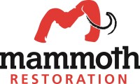 Mammoth restoration & construction