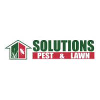 Solutions pest & lawn