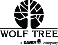 Utility tree service