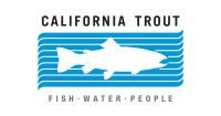 California trout