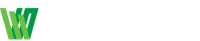 Wall street financial group