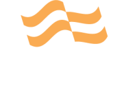 Flagship networks