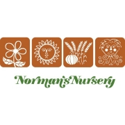 Norman's nursery