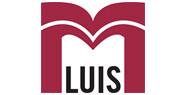 M luis construction