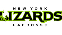 New york lizards