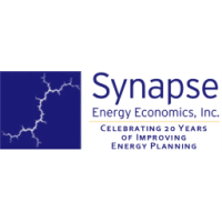 Synapse energy economics