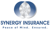 Synergy insurance group