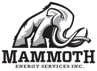 Mammoth energy services