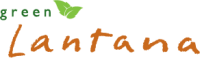 Lantana consulting group