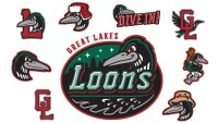 Great lakes loons