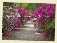 Magnolia plantation & gardens