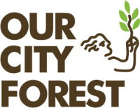 Our city forest
