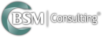 Bsm consulting®