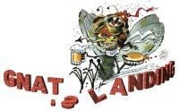 Gnats landing